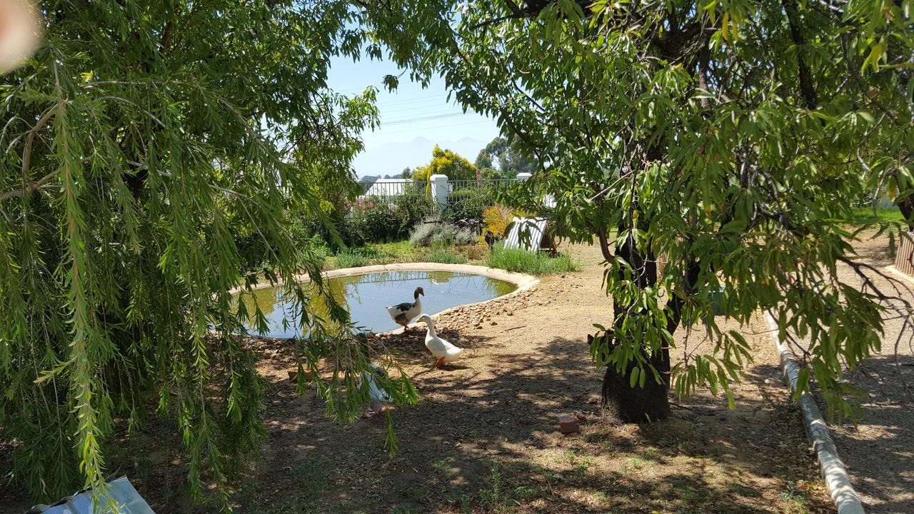 Merindol Manor Riebeek-West Buitenkant foto